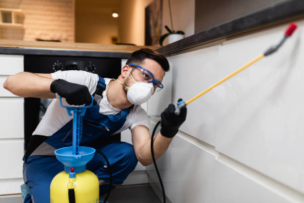 Best Cockroach Control Services  in Lake Isabella, CA