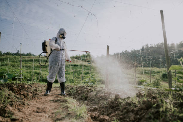 Best Pest Prevention Services  in Lake Isabella, CA