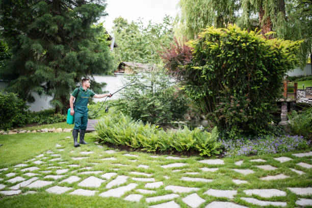 Best Emergency Pest Control  in Lake Isabella, CA